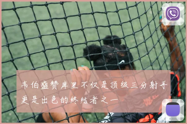 韦伯盛赞库里不仅是顶级三分射手更是出色的终结者之一
