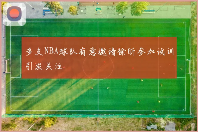 多支NBA球队有意邀请徐昕参加试训引发关注