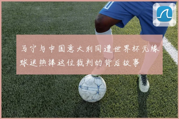 马宁与中国意大利同遭世界杯无缘球迷热捧这位裁判的背后故事